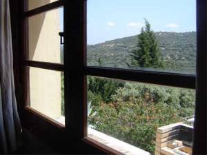 View from the window