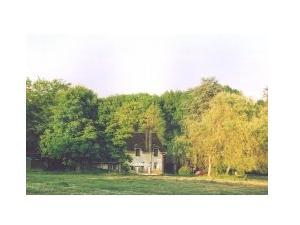 Meadow/woodland around