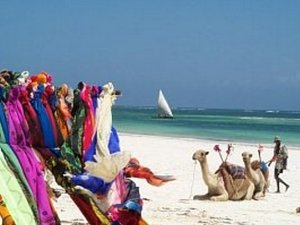 Camel riding on the beach