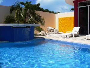 Jacuzzi and swimming pool