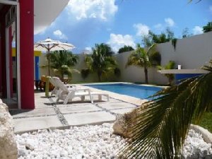 Tropical trees in the garden