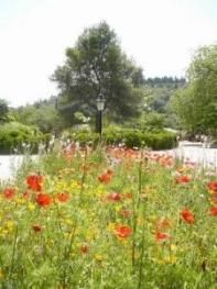 Beautiful surroundings