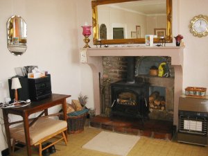 Living room has fireplace