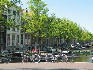 Many areas to explore