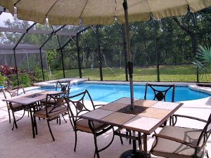 Pool with conservation view