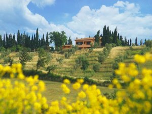 Great view on the countyside