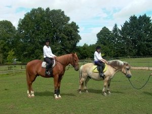 Horses available to ride