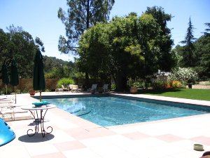 Large mature gardens