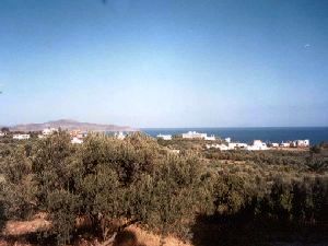 View of surroundings