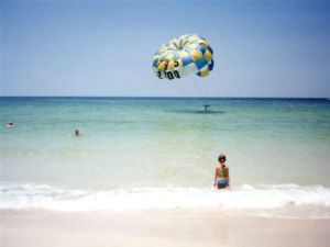 Florida beach rentals