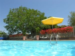 heated and Fenced pool