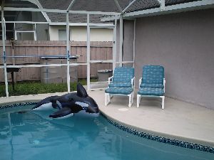 Private Swimming Pool 