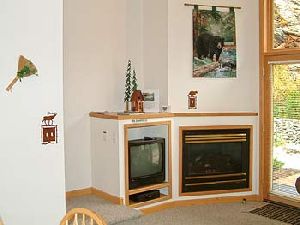 A view of the fireplace