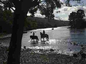 Loch Tay and horses