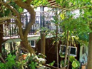 Treetops Pavilion & Tree House