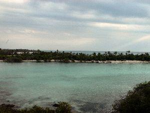 View from the roof