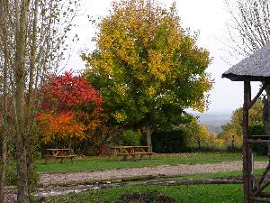 Autumn in the garden