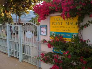 Welcome to Dolphins Point Maui