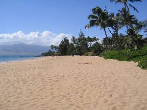 Our Beach - Kamaole One