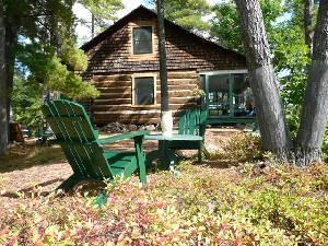 Sit awhile under the trees