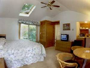 Jacuzzi Unit with King Bed