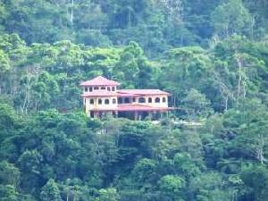 Jungle view of the main house