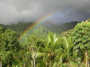 Rainbow over the property