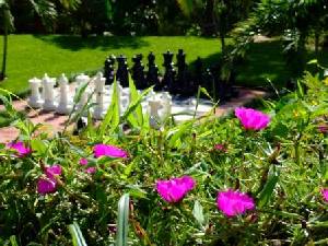 Garden chess board