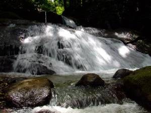 one of the waterfalls/pools