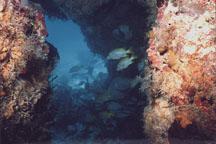 Thunderball Grotto snorkeling