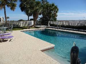 Beachfront Paradise pool