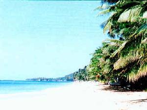 The Incredible Beach