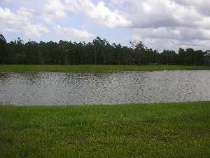 Lake behind property