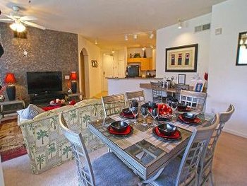 Open Plan Lounge & Dining Area