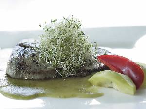 Wide range of culinary treats