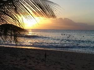 You will love the sunsets