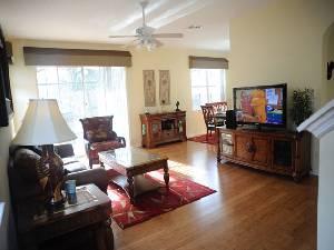 46" LCD and Living Room