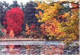 Its always a beautiful here