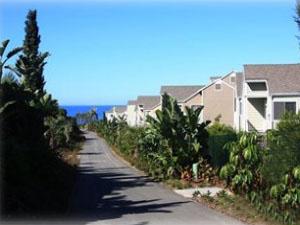 Path to beach past our condo