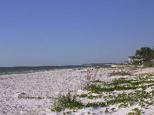 Anna Maria Island vacation condo rentals