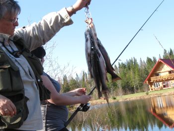 Fishing truites on Les Loutres