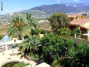 View to Orotava valley