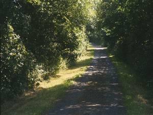 Haroldston's Private Lane