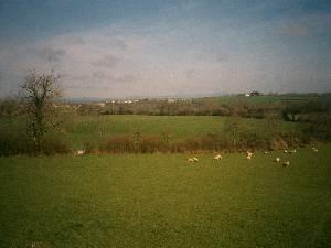 View from Haroldston