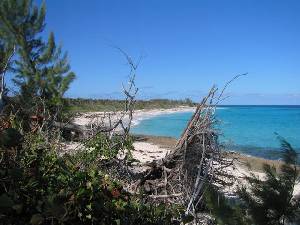Quiet beach ..... No tourists!