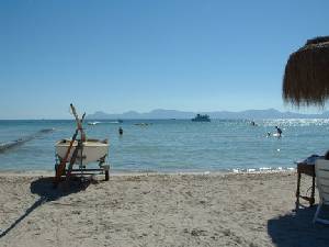Beach Alcudia
