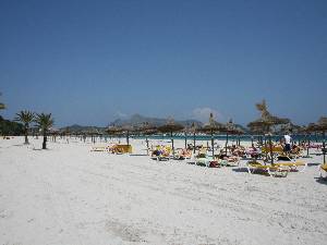 Alcudia beach