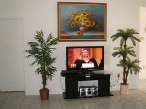 40"hdmi SONY TV w.150 channel 