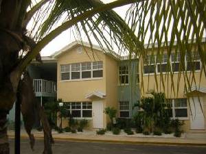 Nested in tropical folliage