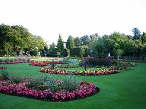 Flowers in Bury St Edmunds